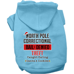 North Pole Correctional Screen Print Dog Hoodie Baby Blue Size XS