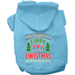 Furry Little Christmas Screen Print Dog Hoodie Baby Blue Size XS