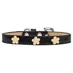 Gold Flower Widget Dog Collar Black Ice Cream Size 10