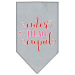 Cuter Than Cupid Screen Print Bandana Grey Large