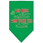 Who Needs Mistletoe Screen Print Bandana Emerald Green Large