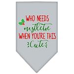 Who Needs Mistletoe Screen Print Bandana Grey Large