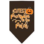 Cutest Pumpkin in the Patch Screen Print Bandana Cocoa Large