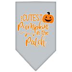 Cutest Pumpkin in the Patch Screen Print Bandana Grey Large