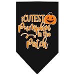 Cutest Pumpkin in the Patch Screen Print Bandana Black Large