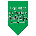 I Am What My Family is Thankful For Screen Print Bandana Emerald Green Large