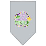 Throw me Something Screen Print Mardi Gras Bandana Grey Large