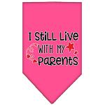 Still Live with my Parents Screen Print Pet Bandana Bright Pink Large