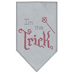 I'm the Trick Rhinestone Bandana Grey Large