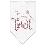 I'm the Trick Rhinestone Bandana White Large