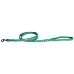 Clear jewel pet leash 1/2" wide x 4' long Aqua