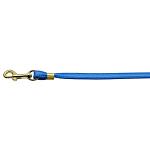 Flat Plain Leashes Blue Gold Hardware