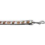 Snowy Owls 1 inch wide 4ft long Leash