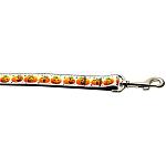 Pumpkin Parade 1 inch wide 4ft long Leash