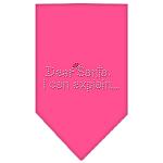 Dear Santa Rhinestone Bandana Bright Pink Large