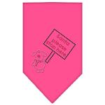 Santa Please Stop here Rhinestone Bandana Bright Pink Large