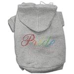 Rainbow Colored Pride Hoodies Grey L