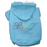 Rainbow Colored Pride Hoodies Baby Blue L