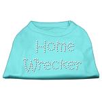 Home Wrecker Rhinestone Shirts Aqua L