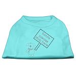 Santa Stop Here Shirts Aqua LG