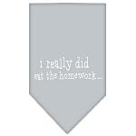 I really did eat the Homework Screen Print Bandana Grey Large