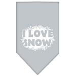 I Love Snow Screen Print Bandana Grey Large