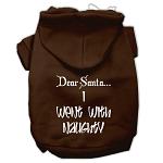 Dear Santa I Went with Naughty Screen Print Pet Hoodies Brown Size Lg