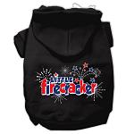 Little Firecracker Screen Print Pet Hoodies Black L