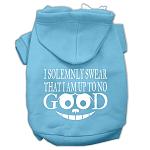 Up to No Good Screen Print Pet Hoodies Baby Blue Size Lg