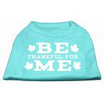 Be Thankful for Me Screen Print Shirt Aqua L