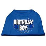 Birthday Boy Screen Print Shirts Blue Lg