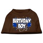 Birthday Boy Screen Print Shirts Brown Lg