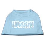 Ehrmagerd Screen Print Shirt Baby Blue Lg