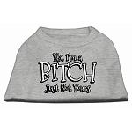 Yes I'm a Bitch Just not Yours Screen Print Shirt Grey Lg