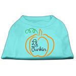 Lil Punkin Screen Print Dog Shirt Aqua Lg