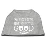 Up to No Good Screen Print Shirt Grey Lg