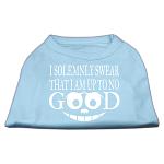 Up to No Good Screen Print Shirt Baby Blue Lg