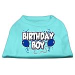 Birthday Boy Screen Print Shirts Aqua Lg