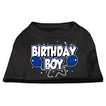 Birthday Boy Screen Print Shirts Black Lg