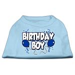 Birthday Boy Screen Print Shirts Baby Blue Lg