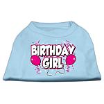 Birthday Girl Screen Print Shirts Baby Blue Lg