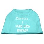 Dear Santa I Went with Naughty Screen Print Shirts Aqua Lg