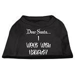 Dear Santa I Went with Naughty Screen Print Shirts Black Lg