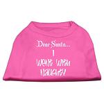 Dear Santa I Went with Naughty Screen Print Shirts Bright Pink Lg