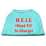 Head Elf In Charge Screen Print Shirt Aqua Lg