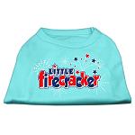 Little Firecracker Screen Print Shirts Aqua L