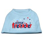 Little Firecracker Screen Print Shirts Baby Blue L