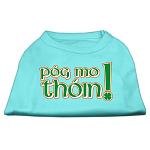 Pog Mo Thoin Screen Print Shirt Aqua Lg