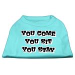 You Come, You Sit, You Stay Screen Print Shirts Aqua L