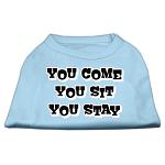 You Come, You Sit, You Stay Screen Print Shirts Baby Blue L